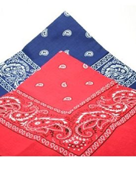 2-BANDANAs-1-navy-blue-1-red-PAISLEY-SCARVES-0