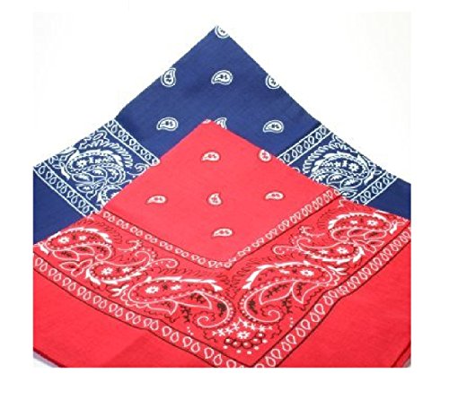 2-BANDANAs-1-navy-blue-1-red-PAISLEY-SCARVES-0