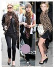 Celebrity-Women-Hot-EXTRA-Large-Animal-Leopard-Print-Shawl-scarf-in-Brown-Brown-0-1