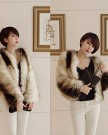 Etosell-Womens-Faux-Fur-Winter-Warm-Long-Hair-Overcoat-Short-Jacket-Gradient-L-0-2