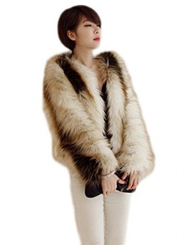 Etosell-Womens-Faux-Fur-Winter-Warm-Long-Hair-Overcoat-Short-Jacket-Gradient-L-0