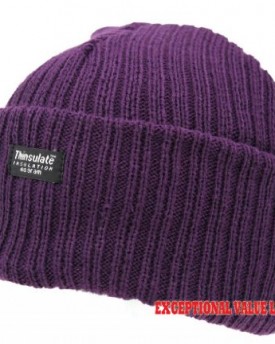 LADIES-THINSULATE-BEANIE-HAT-FLEECE-LINED-WINTER-SKI-RIB-KNITTED-CAP-40-GRAM-3-M-6-DIFFERENT-COLOURES-PURPLE-0