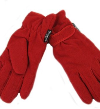 Ladies-Fleece-Thinsulate-Lined-Gloves-with-Wrist-adjuster-0