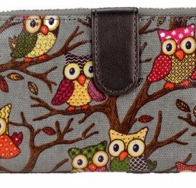 Miss-Lulu-Designer-Oilcloth-Owl-Spot-Polka-Dots-Butterfly-Folded-Zip-Wallet-Purse-Bag-Owl-Grey-0