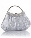 ANDI-ROSE-Gorgeous-Silk-Pleated-Wedding-Evening-Designer-Shoulder-Bags-Handbag-Purse-Clutch-Silver-0-0