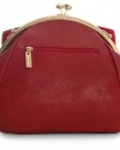 Big-Handbag-Shop-Womens-Designer-Fashion-Kisslock-Bow-Detail-Satchel-Bag-6626-Grey-Ash-0-1