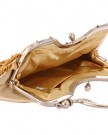 Damara-Elegant-Satin-Crystals-Handbag-Evening-BagsSilver-0-0