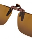Eyelevel-USA1-1-Polarised-Unisex-Adult-Sunglasses-Brown-One-Size-0