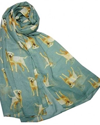 New-Ladies-Big-Labrador-DOG-Animal-Puppy-Print-Fashion-Scarf-Wrap-Shawl-GREEN-0