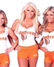 New-Logo-Hooters-Bar-Girl-T-shirt-Vest-withwithout-Hot-Pants-Fancy-DressMT-Shirt-Hotpants-0