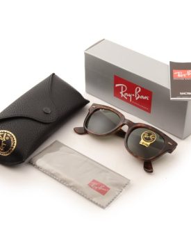 Ray-Ban-4168-710-Tortoise-Meteor-Retro-Sunglasses-0