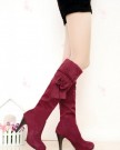Womens-Fashion-Waterproof-oxfords-boots-faux-suede-elastic-platform-knee-high-heel-shoes-0-2